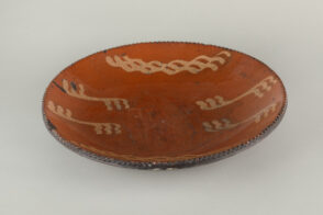 Dish