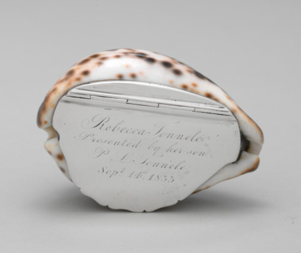 Tiger Cowrie Shell Snuffbox - Image 1