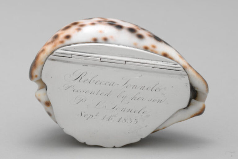 Tiger Cowrie Shell Snuffbox