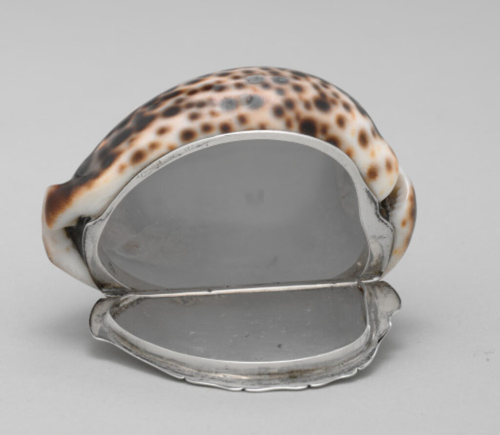 Tiger Cowrie Shell Snuffbox - Image 3