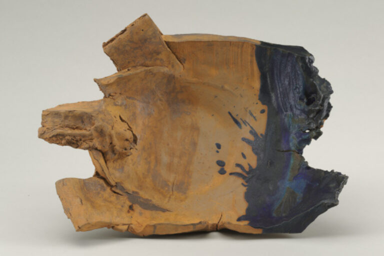 Turtle Plate