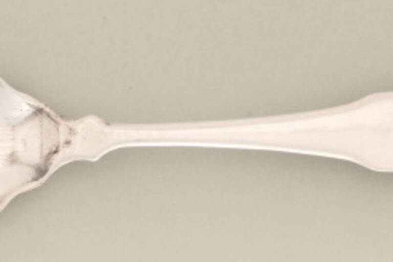 Salt Spoon