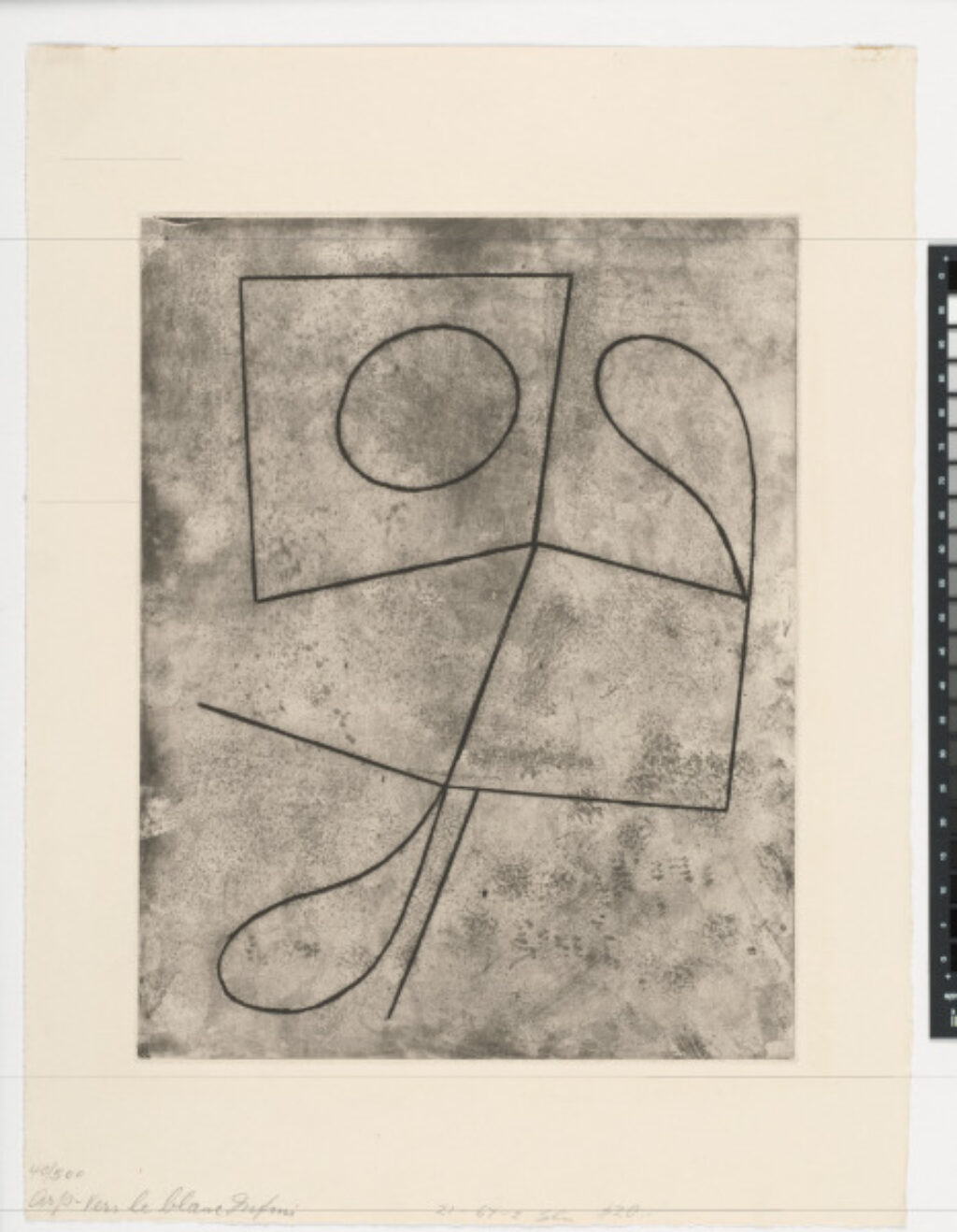 From the portfolio “Vers le Blanc Infini”