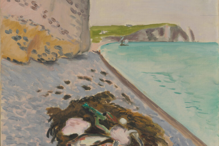 Large Cliff with Fish