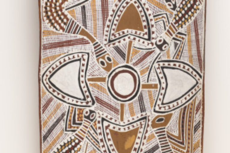 Bark Painting showing Wititj at Garrimala