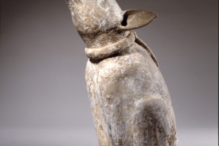 Seated Paca