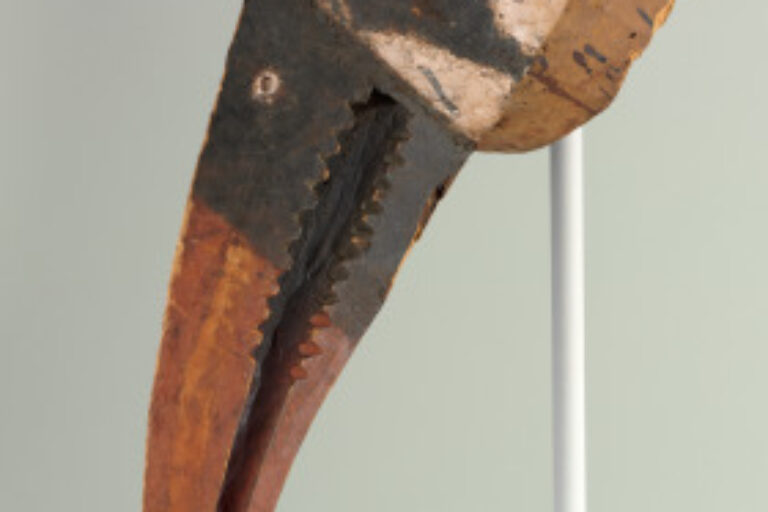 Calao Bird Mask