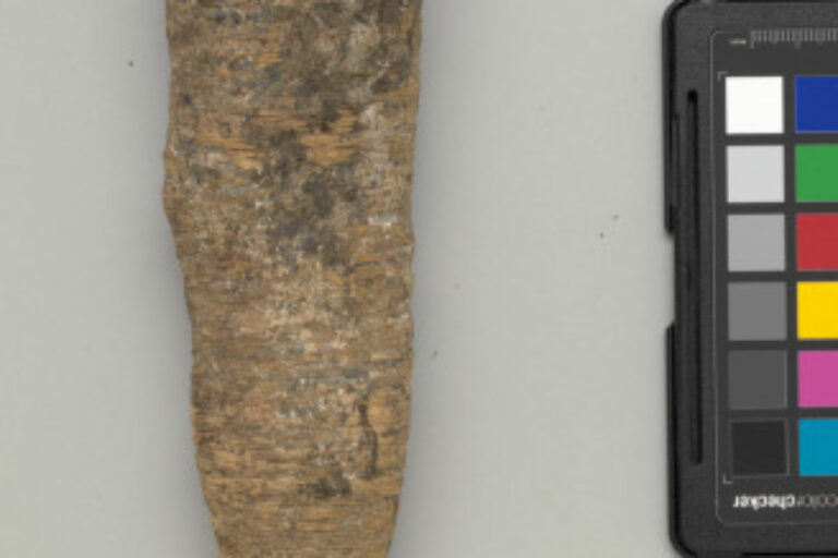 Costume Attachment for Hunter’s Tunic