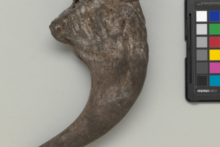 Costume Attachment for Hunter’s Tunic