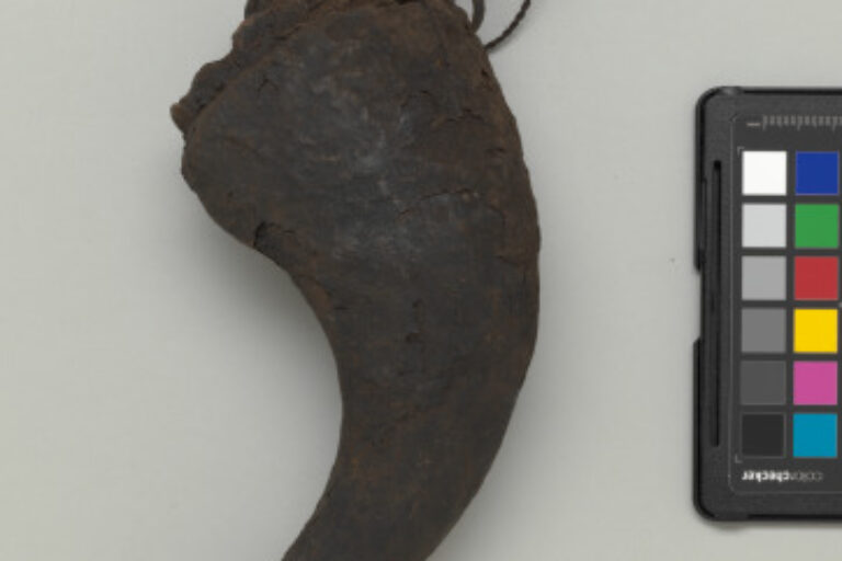 Costume Attachment for Hunter’s Tunic