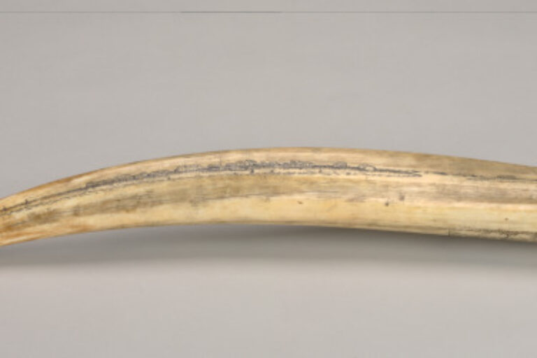 Tusk Decorated with Birds and a Harbor or Village