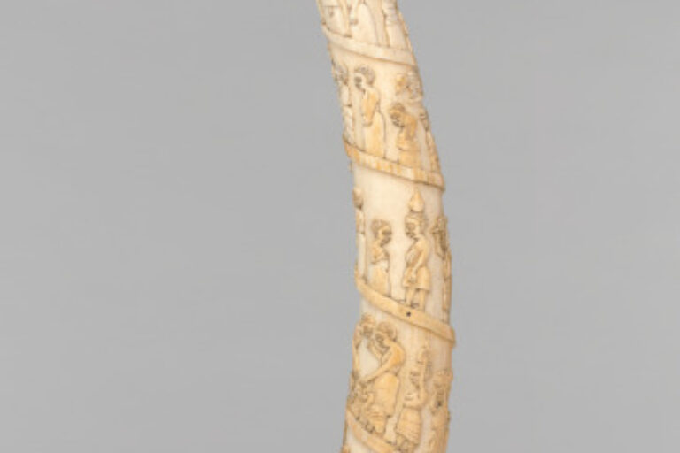 Tusk Carved in Relief