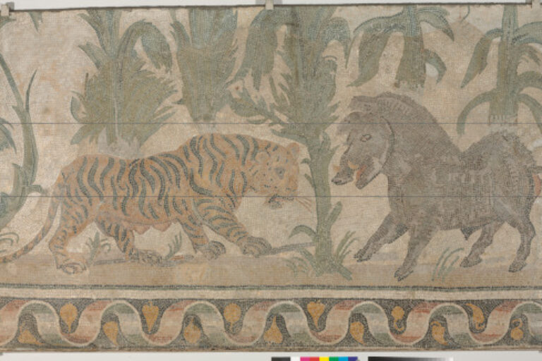 Fragment of a floor mosaic depicting a tigress and a boar