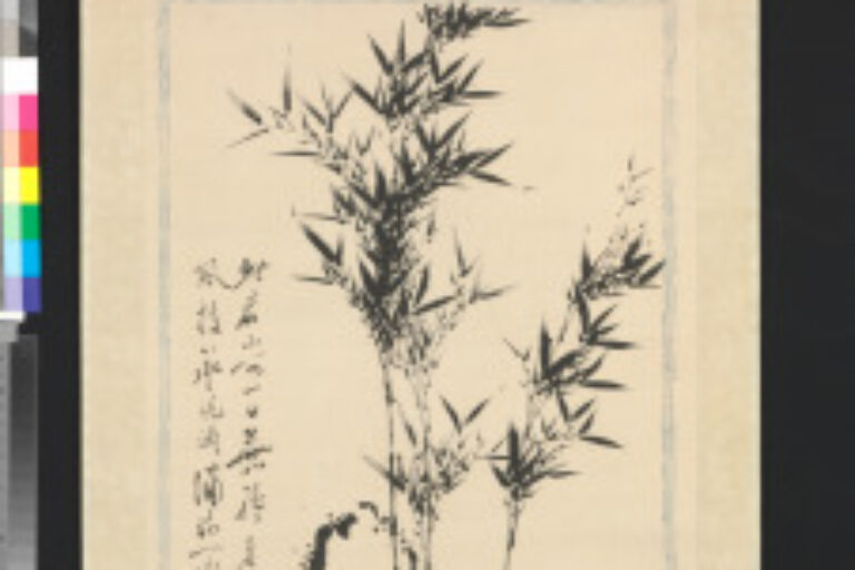 Ki Garden