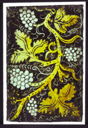 Grape Vine (Fragment)