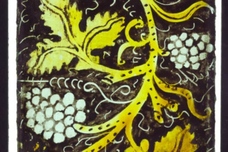 Grape Vine (Fragment)