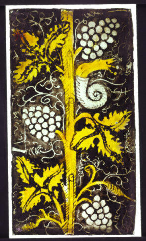 Grape Vine (Fragment)