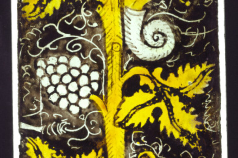 Grape Vine (Fragment)