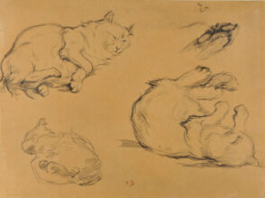 Studies of Three Cats
