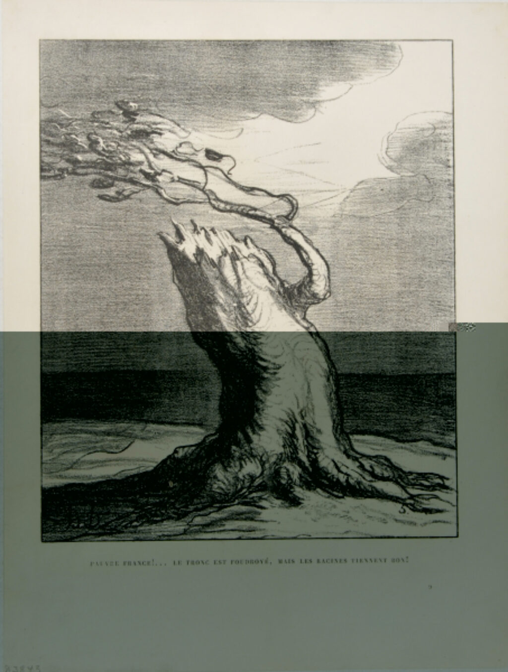Pauvre France!… le tronc est foudroyé, mais les racines tiennent bon!