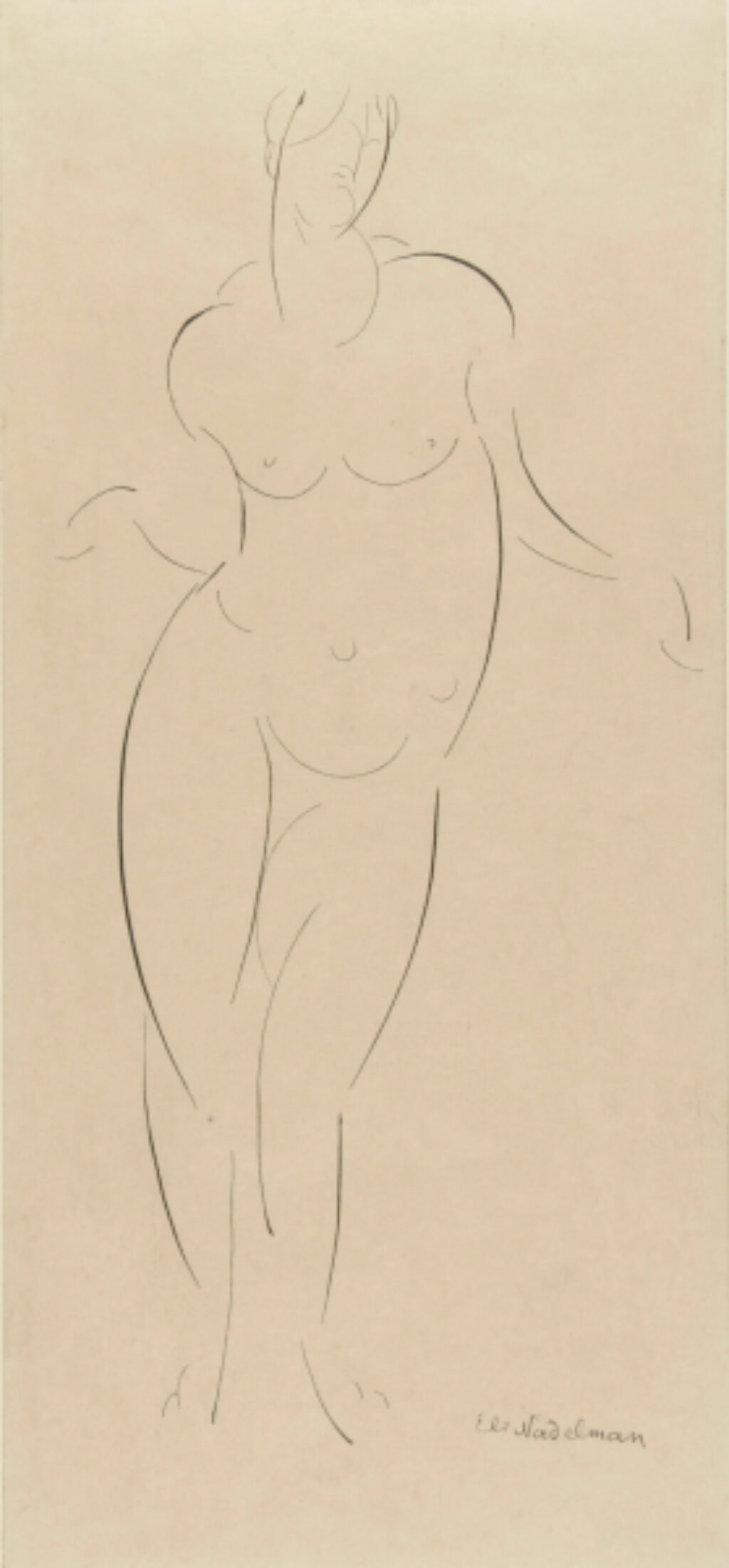 Standing Female Nude