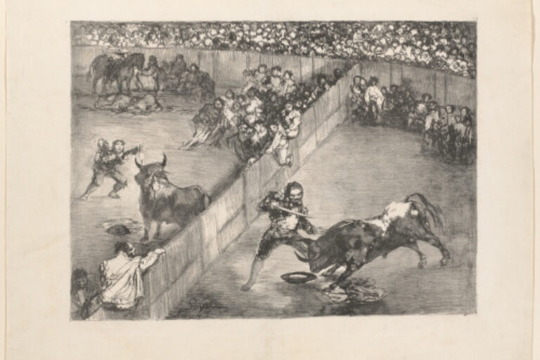 BULLFIGHT IN A DIVIDED RING