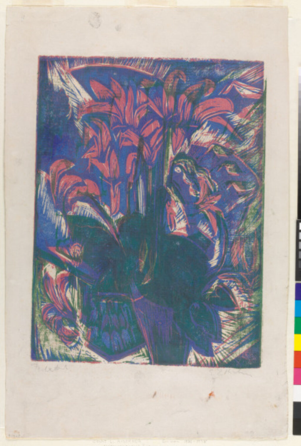 Cyclamen (recto and verso) - Image 1