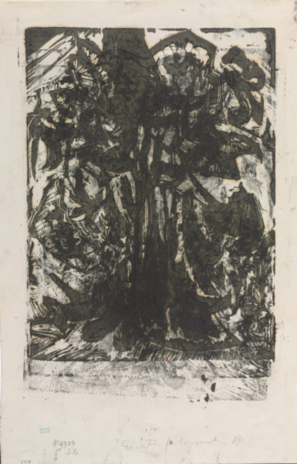 Cyclamen (recto and verso) - Image 3