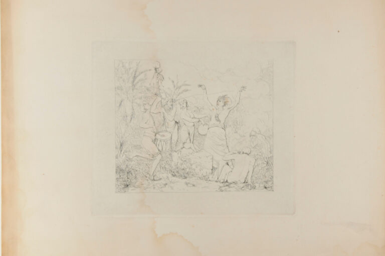 Free Negroes in Hayti