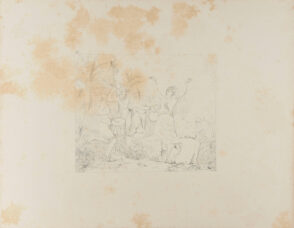 Free Negroes in Hayti