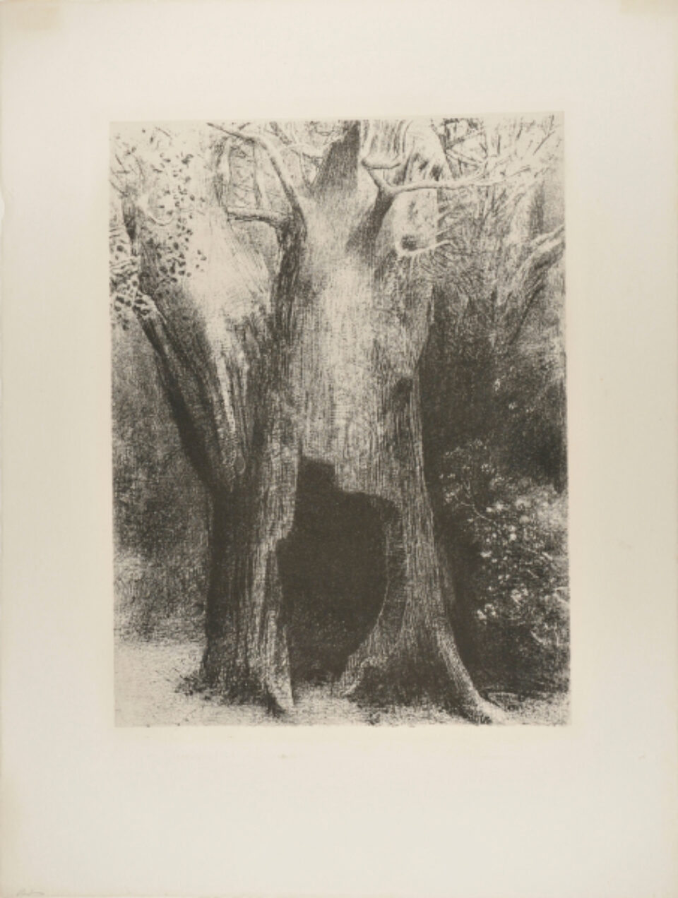 Studio Heinrici, Ltd.