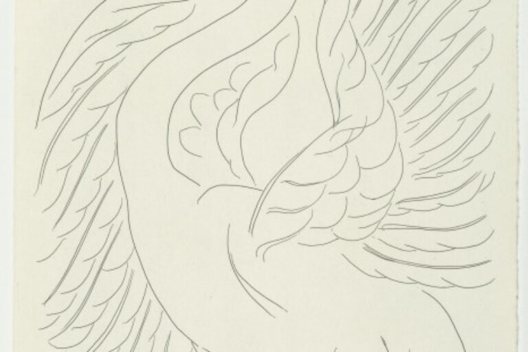 STUDY FOR "THE SWAN" (REFUSED ETCHING)