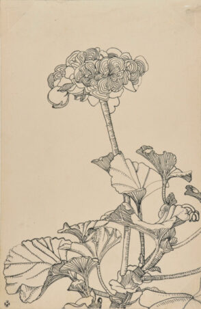 Flower and Leaves