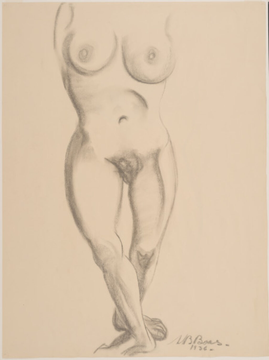 Nude Female – Torso and Legs - Image 1
