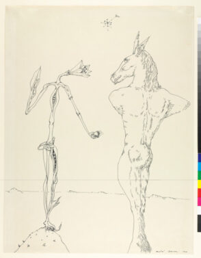 The Donkey and the Flower