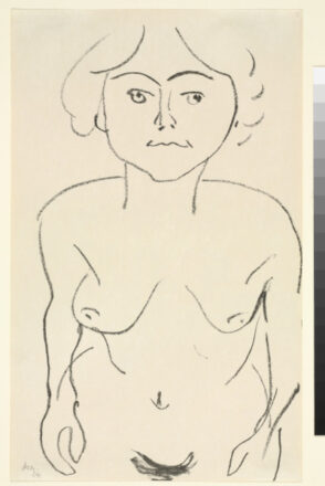 Frontal Nude, Downward View