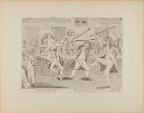 Congressional Pugilists