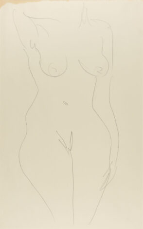 Torso