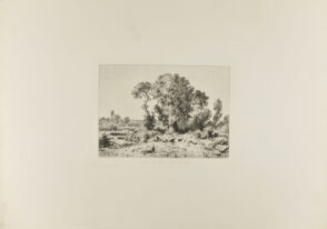 Trees on the Edge of a Pool