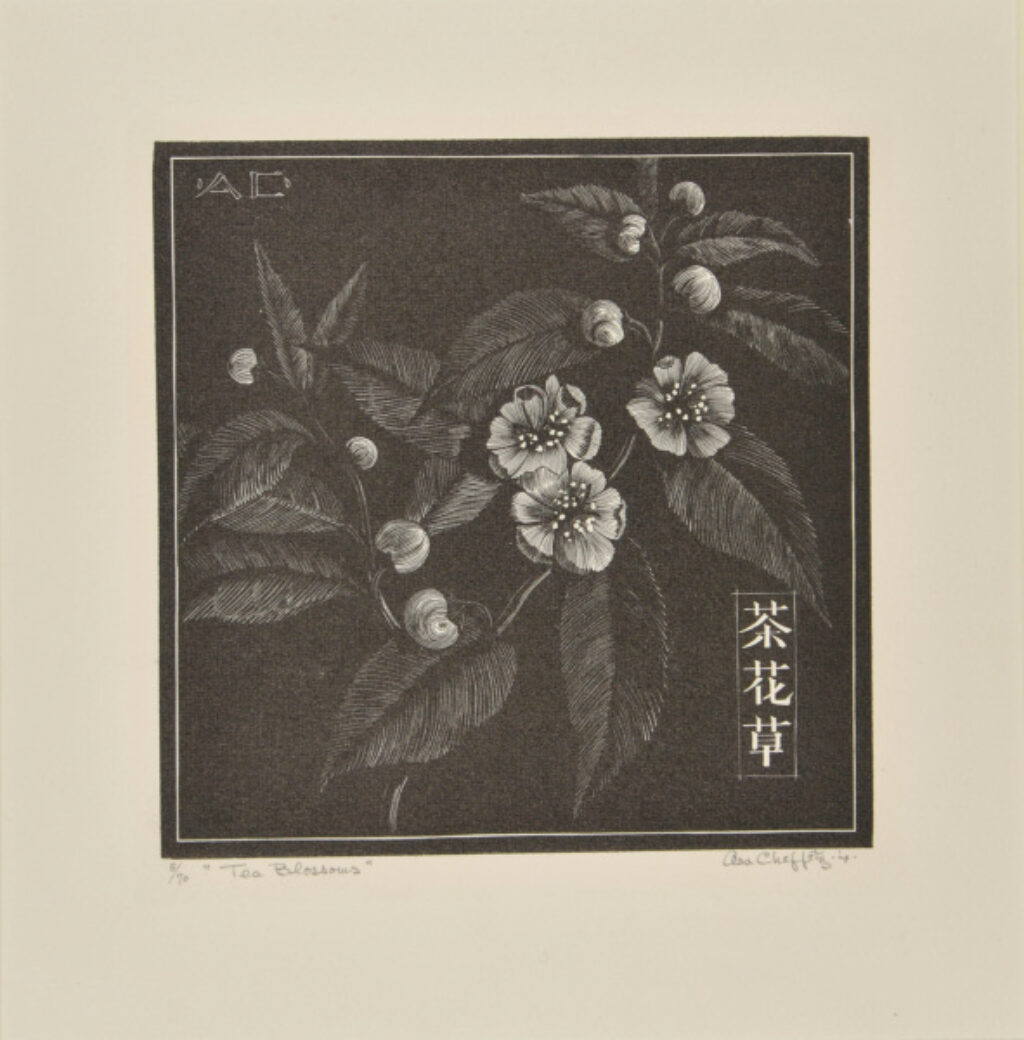 Tea Blossoms
