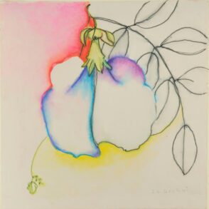 Flower Study