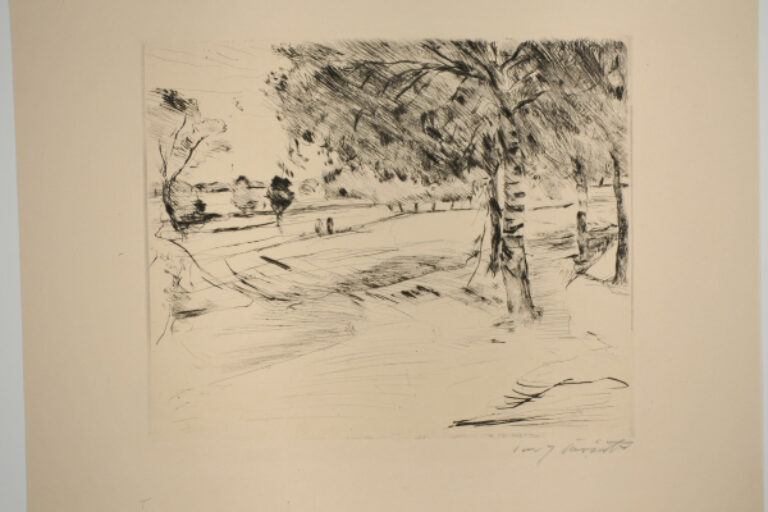 Landscape