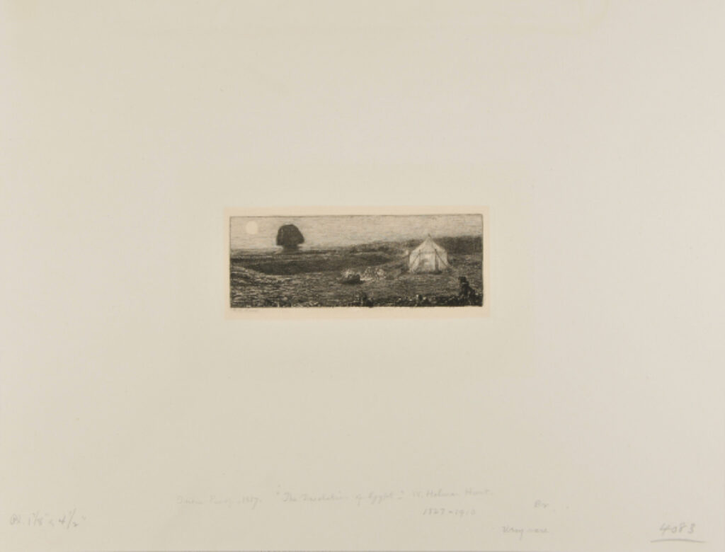 The Desolation of Egypt - Image 1