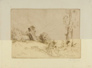 Woman Sitting in a Field