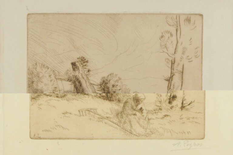 WOMAN SITTING IN A FIELD