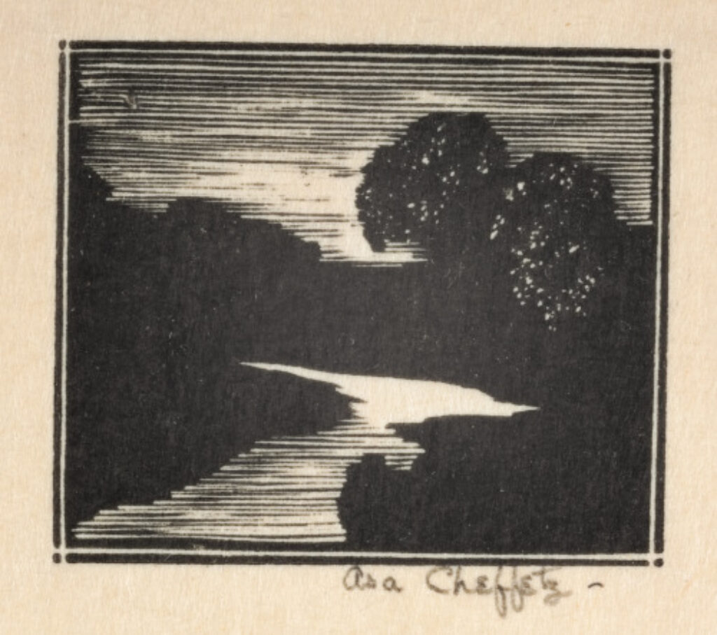 Untitled (Moonlight on Stream)