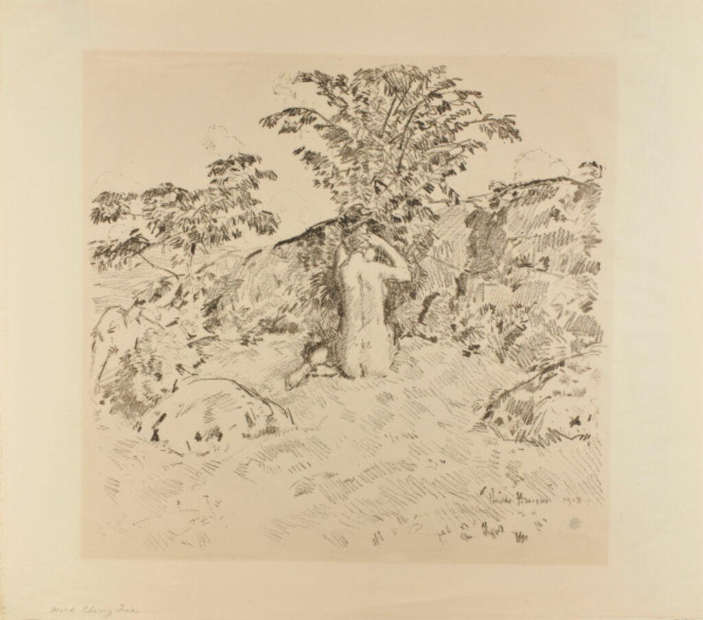 The Wild Cherry Tree - Image 2