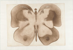 Butterfly 6