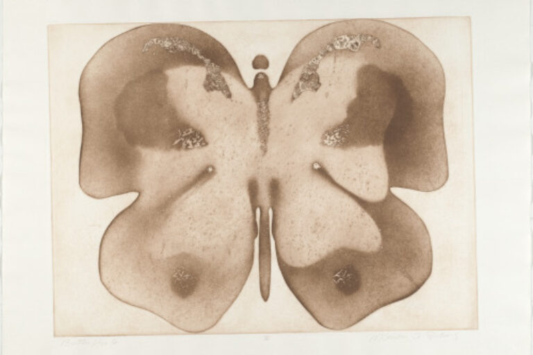 BUTTERFLY 6