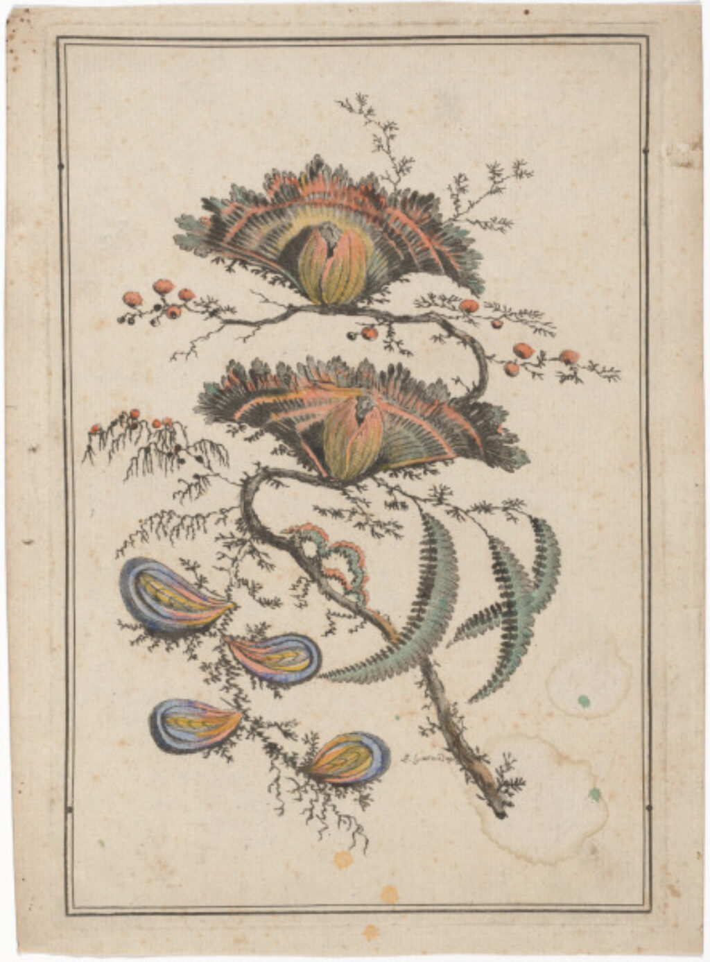 Flowers, no. 5 - Image 1